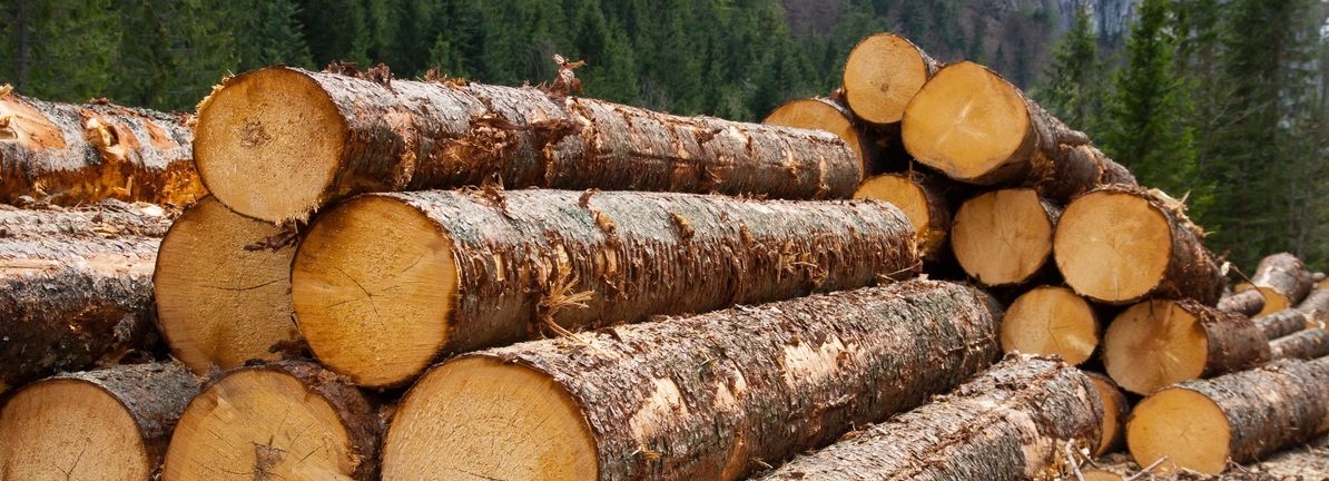 Acadian Timber's (TSE:ADN) investors will be pleased with their favorable 68% return over the last five years