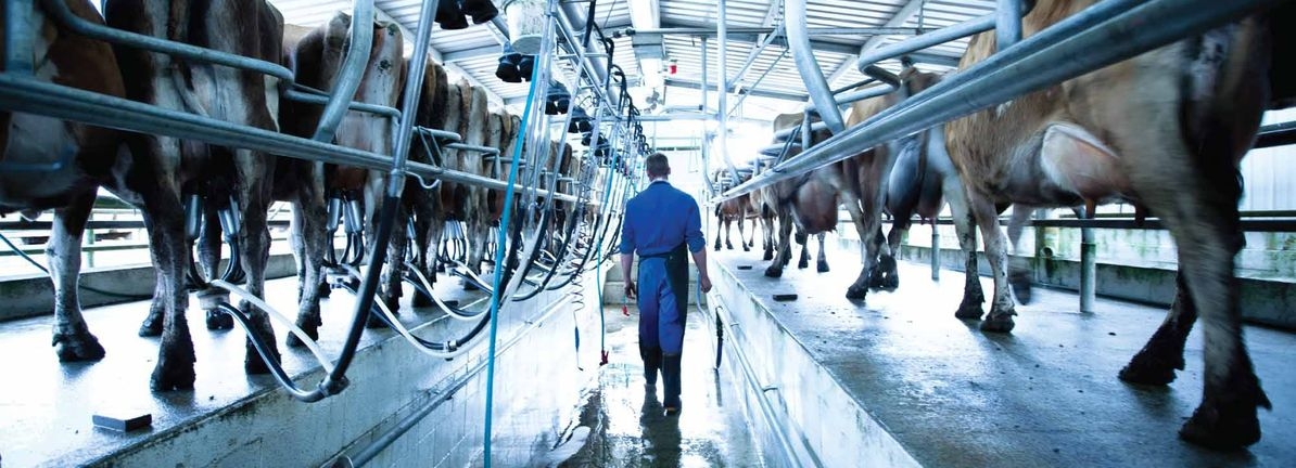 Fonterra Co-operative Group's (NZSE:FCG) investors will be pleased with their stellar 120% return over the last year