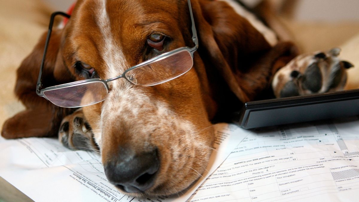 Fact Check: Yes, the IRS allows tax deductions on some pet expenses, like service animals
