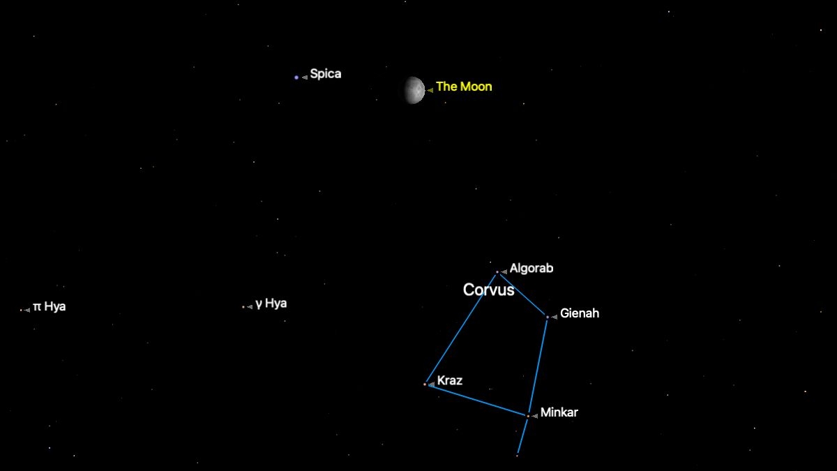 Don't miss Spica shine with the waxing gibbous moon tonight