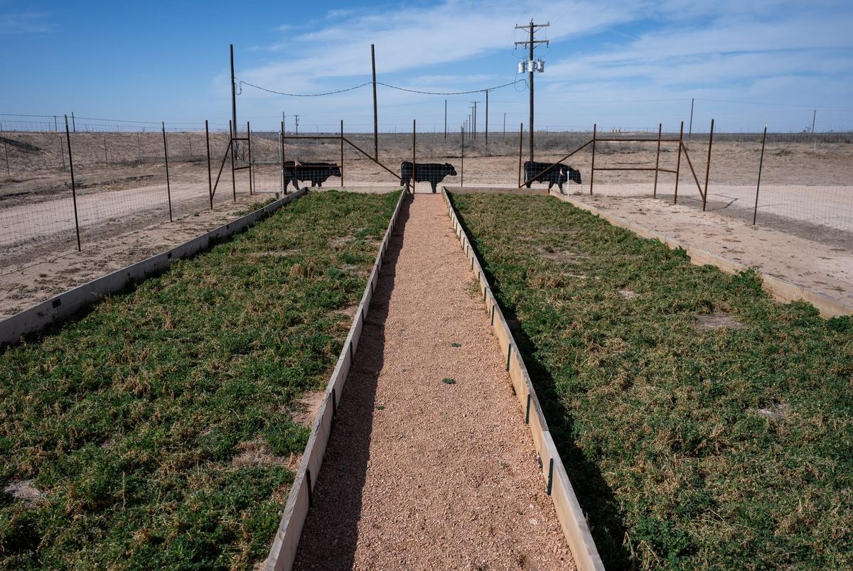 Can Texas clean up fracking water enough to use for farming? One company thinks so.