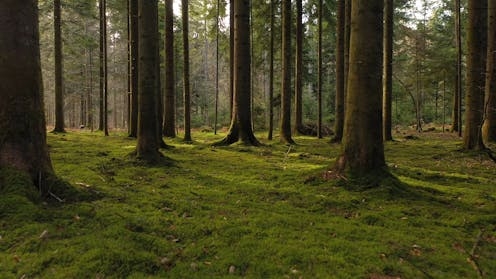 New start date for the Anthropocene proposed – when humans first changed global methane levels