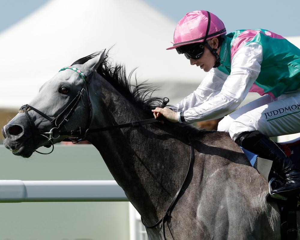 Royal Ascot: Field Of Gold strikes to deliver performance worthy of occasion