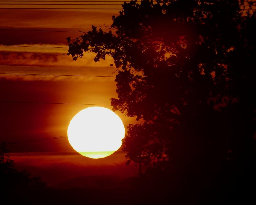 Current heatwave ‘likely to kill almost 600 people in England and Wales'