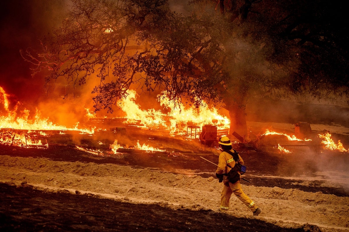 ‘The stakes are life and death': The US is not prepared for wildfire season after sweeping DOGE cuts, report says
