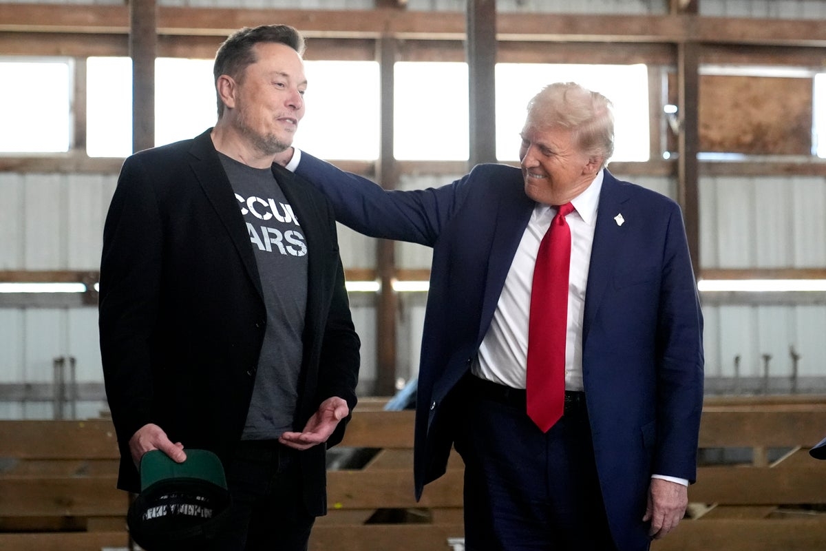 Trump opens door to forgiving Musk after Epstein accusations: ‘I have no hard feelings'