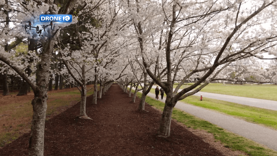 Red Wing Park set to reopen on Saturday