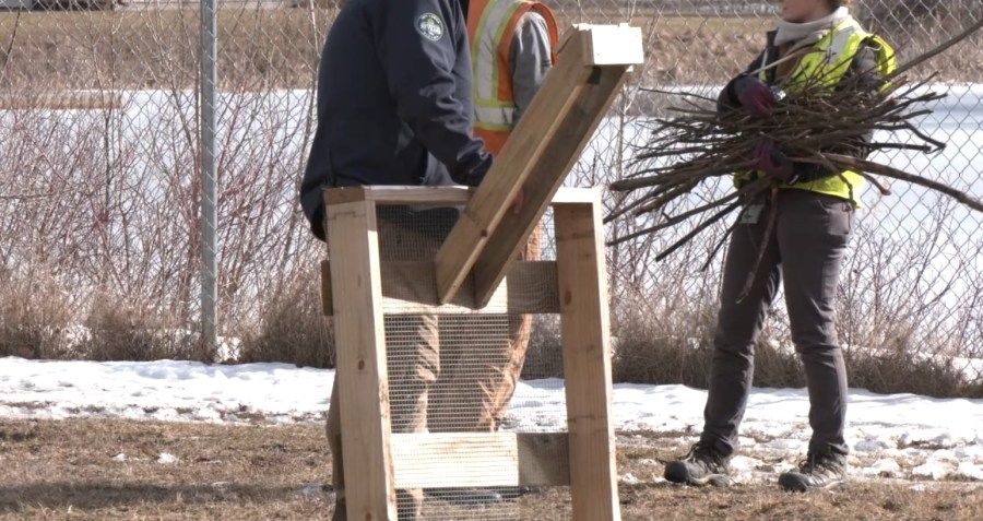 NYSEG builds Osprey bird boxes with help from CV students