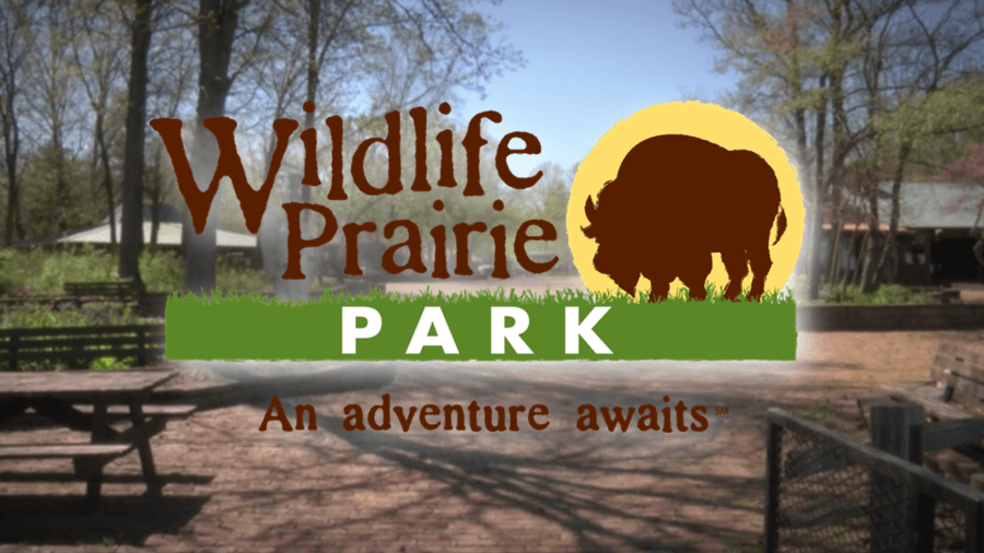 CI Road Trip: Wildlife Prairie Park