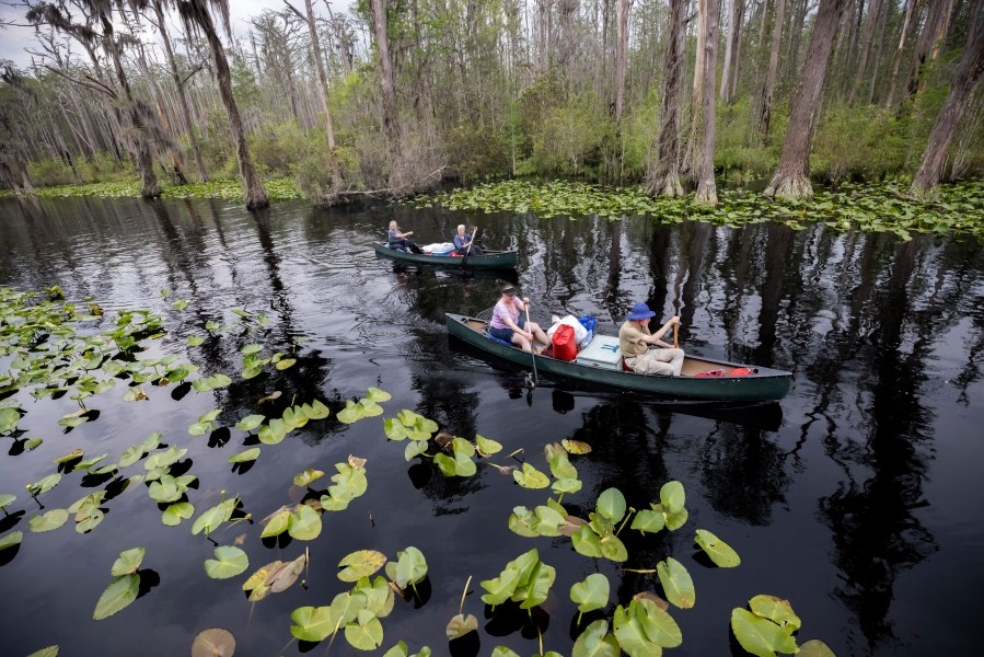 Okefenokee mining protection bills do not advance House
