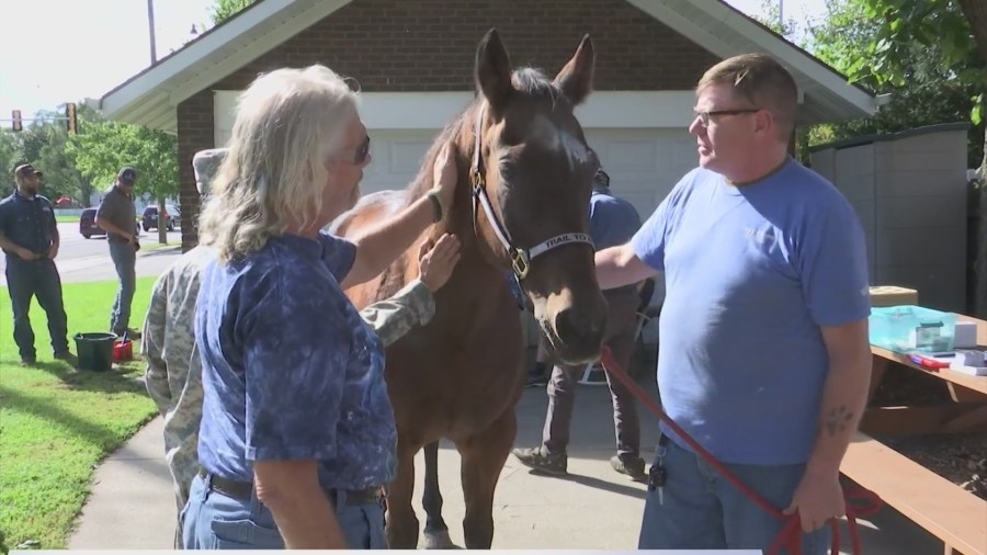 Illinois bill requires insurance coverage for therapeutic horseback riding