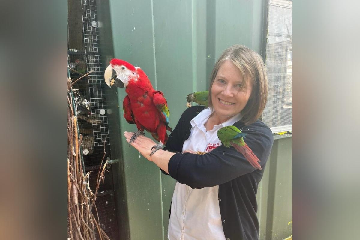 World of James Herriot pledges lifetime sponsorship of Zeke the parrot