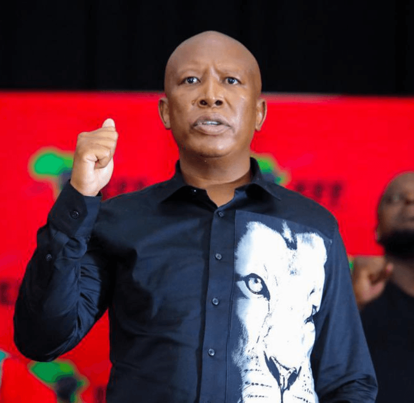 Trump and Malema are more similar than they would like to admit
