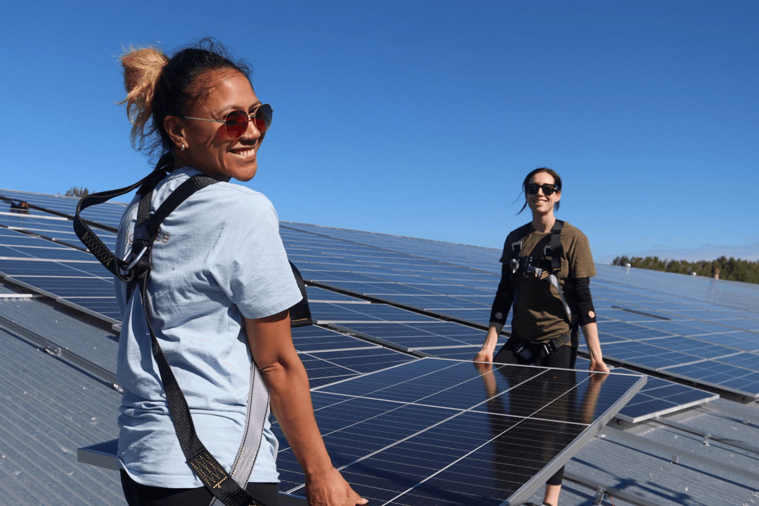Don't expect rooftop solar to power NZ's future, says new Meridian boss