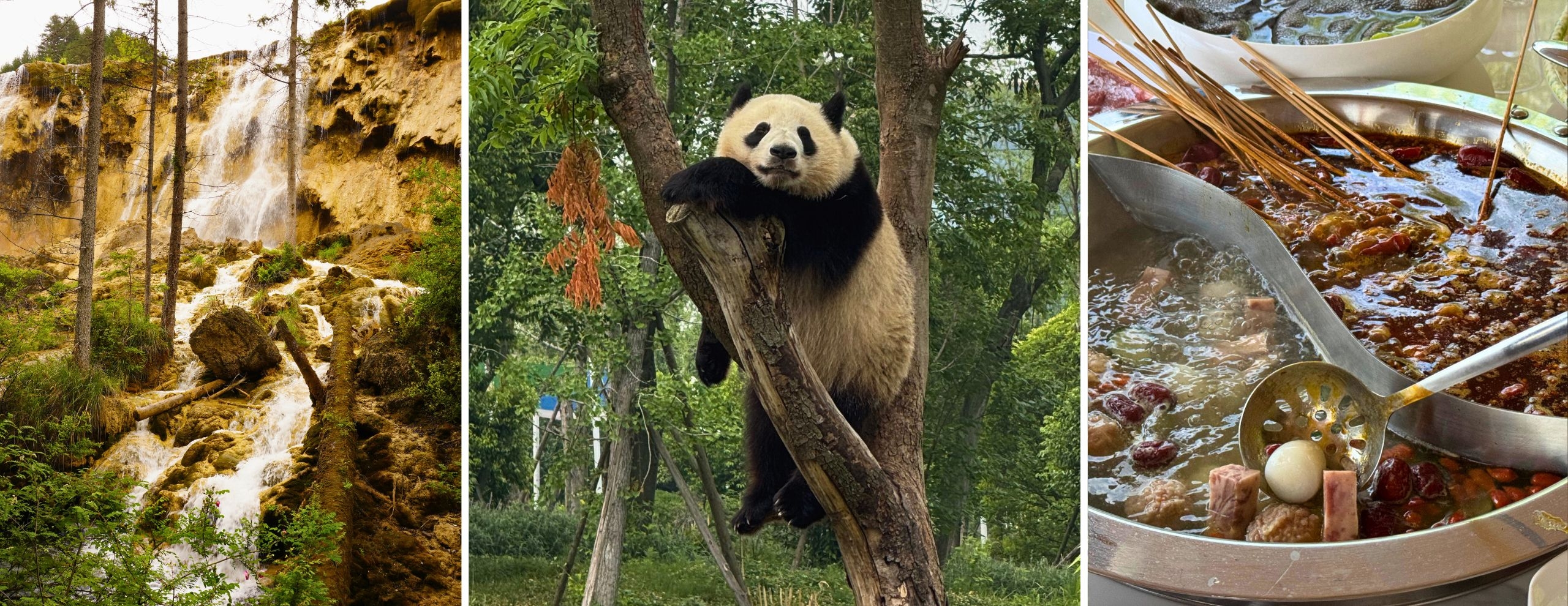 Make your next vacation destination Chengdu for its panda, food, culture and gorgeous scenery