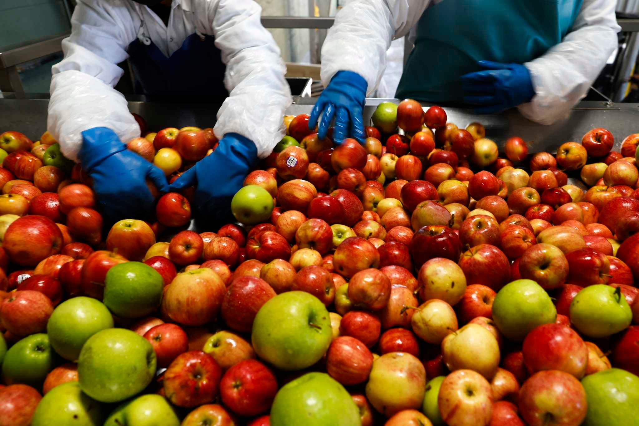 Sonoma County was built on fruit trees. Now, the last cannery is leaving