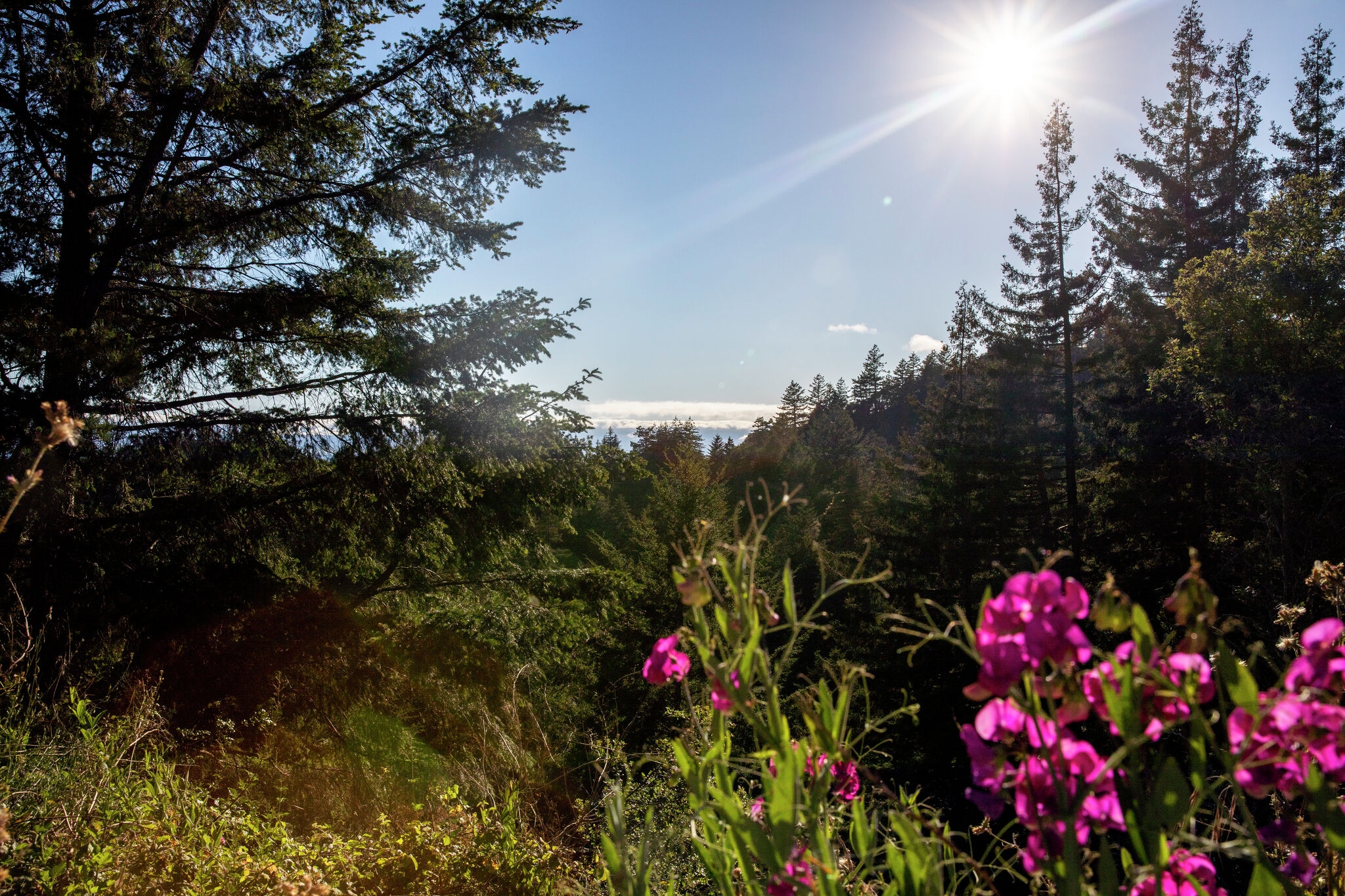 ‘Prepare to be blown away': New national monument near Santa Cruz to open with trails for hiking, biking