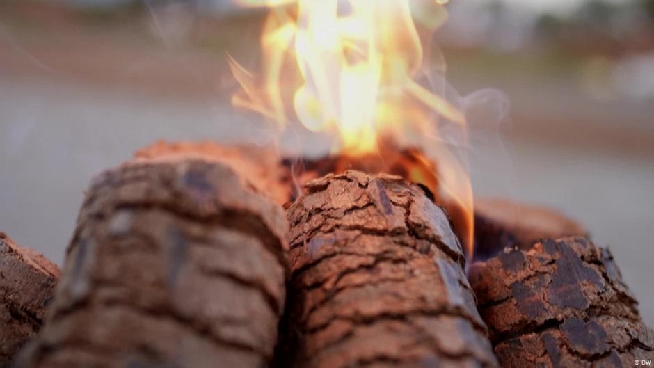 In Tamil Nadu, tribal groups turning forest weed into fuel – DW – 06/10/2025