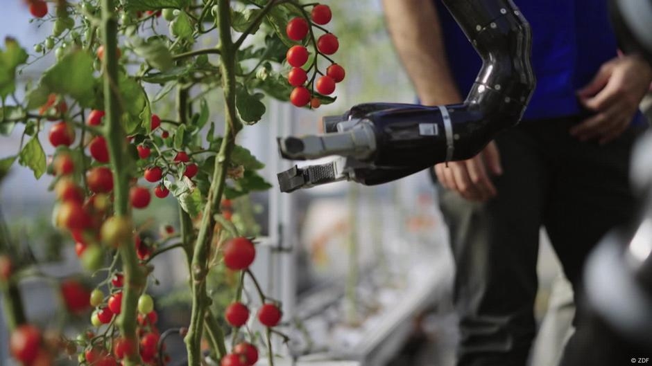 Artificial Intelligence in Agriculture – DW – 06/12/2025