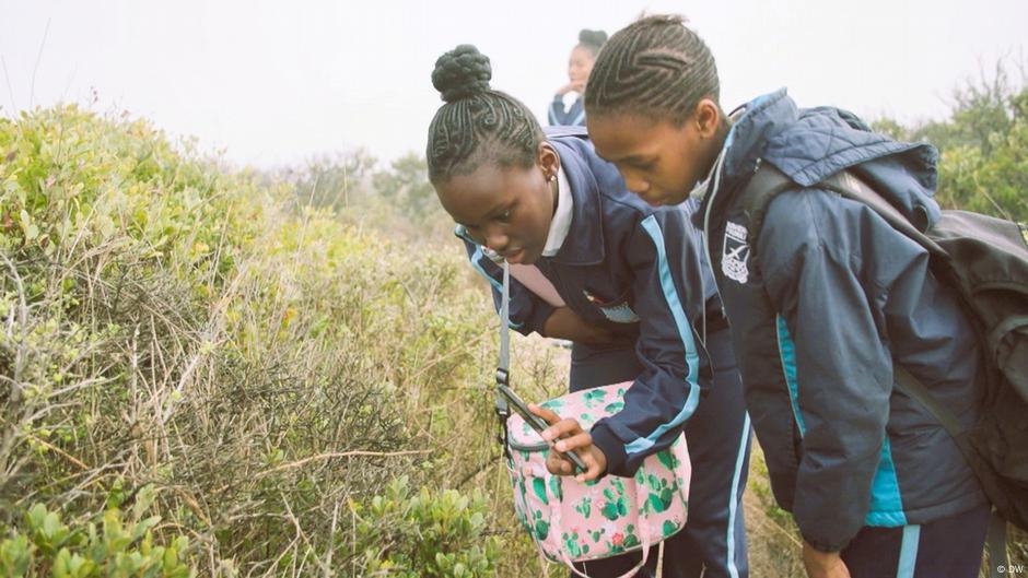Cape Town Citizens Unite to Document Urban Biodiversity – DW – 06/13/2025