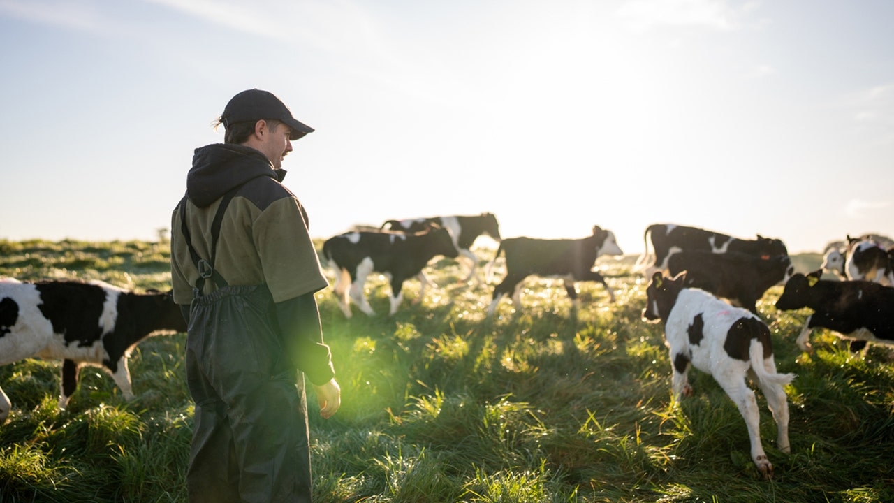 Farm fresh food initiative for Americans' tables means a ‘renaissance of agriculture'