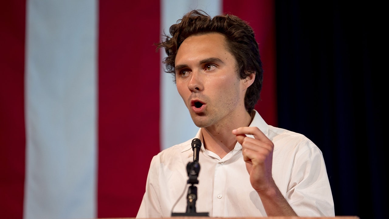 DNC elects vice chair to replace David Hogg as Democrat Party rift rages on