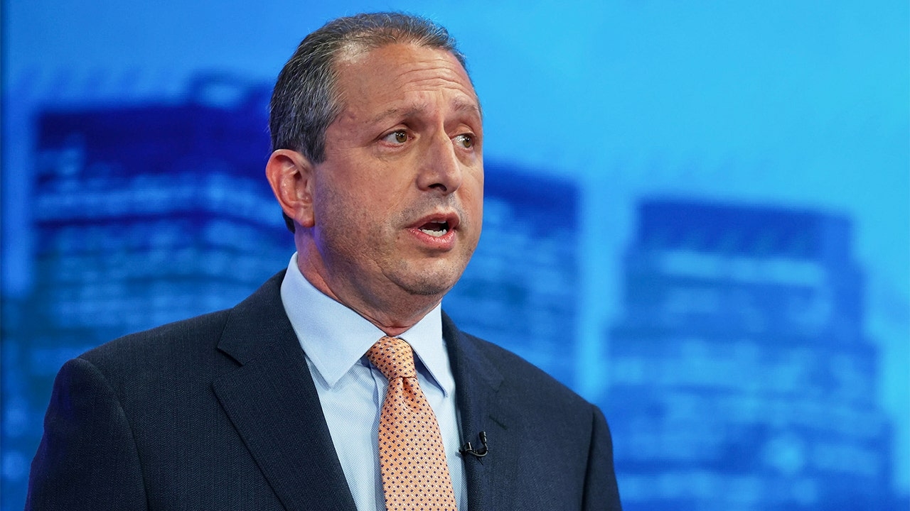 New York City mayoral candidate finds it 'remarkable' DHS agents who arrested him were both immigrants