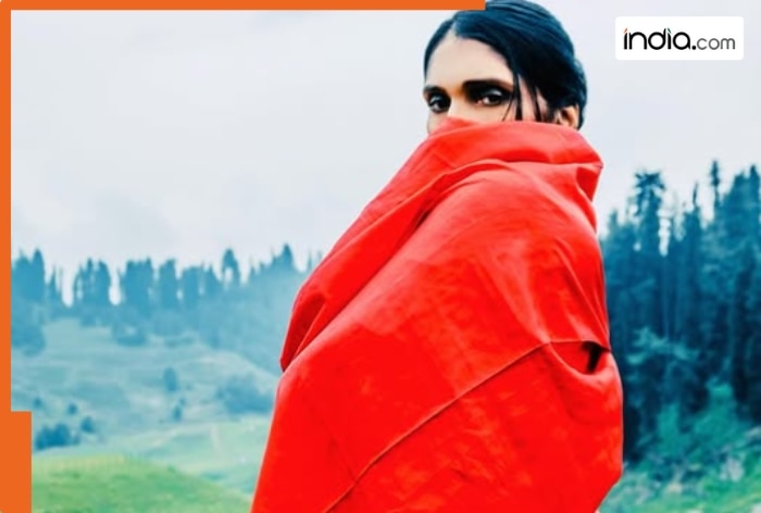 Meet actress who made superhit debut, became overnight superstar, one night changed her fate, now works as..., she is...