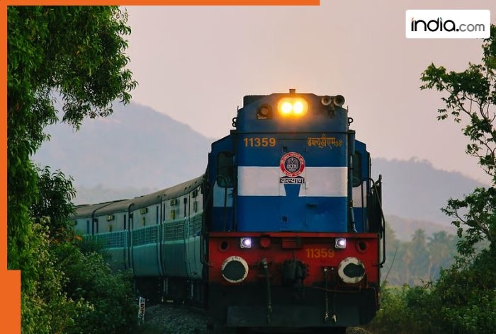 This is India's longest train with 295 coaches, runs with six locomotives, still no passengers travel in it, its name is..., operates from...