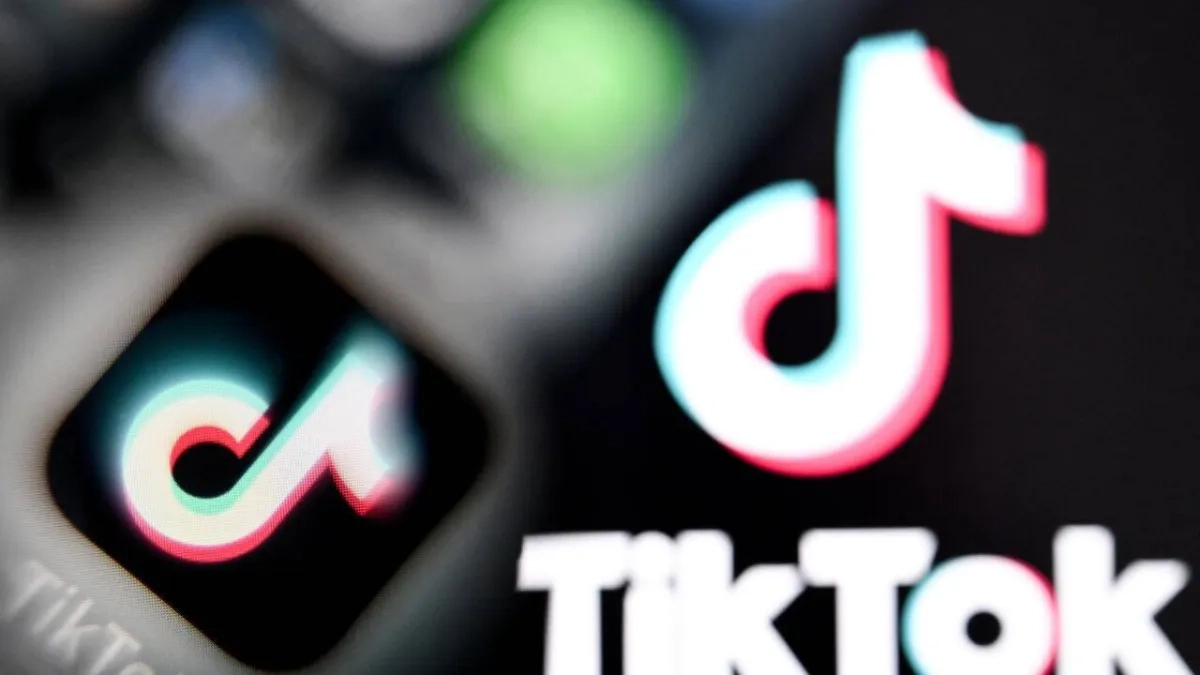TikTok Says to Increase Investment in Britain