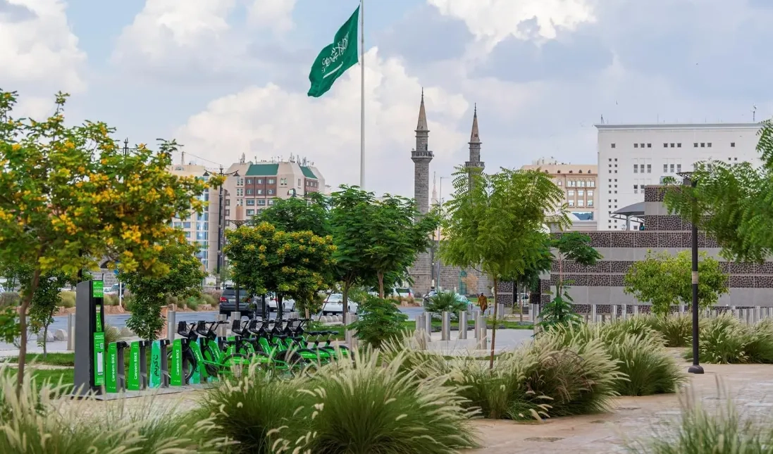 Madinah Expands Green Cover with Over 230,000 Trees Planted in 2024