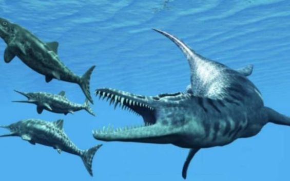 Moroccan Mosasaur discovery : New study questions fossil authenticity