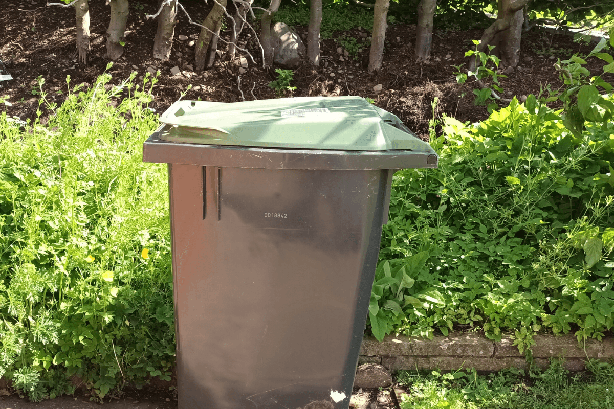 West Lothian Council to consider introducing straps for wheelie bin lids