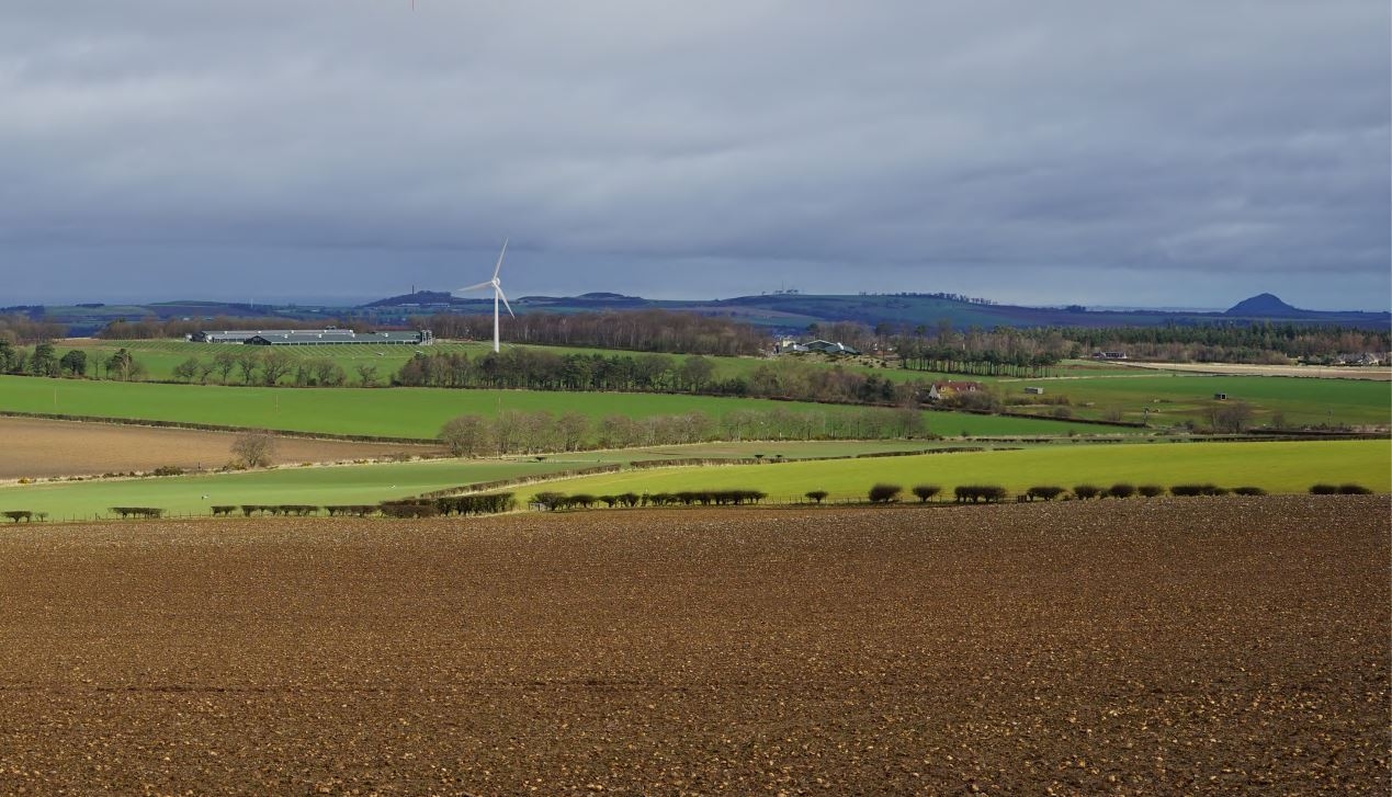 East Lothian egg company fight to become self sufficient