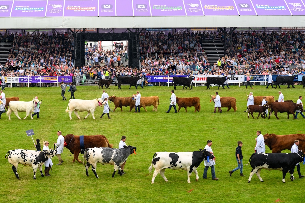 At The Royal Highland Show on Saturday