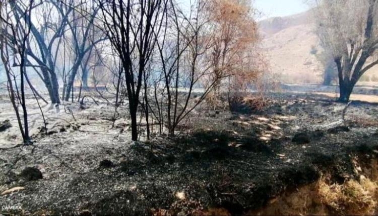 مسؤول يكشف أسباب الحريق الكبير في وادي دوعن