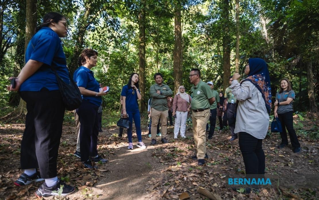 FRIM Upgrade To Boost Ecotourism For Visit Malaysia Year 2026