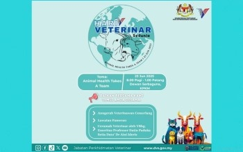 World Veterinary Day 2025 Honours Contributions Of Veterinary Profession