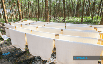 Rubber Market Ends Higher In Tandem With Regional Futures