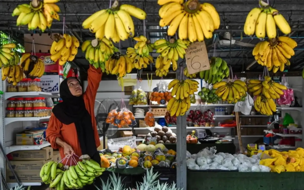 Zero sales tax on local fruits will strengthen national economy