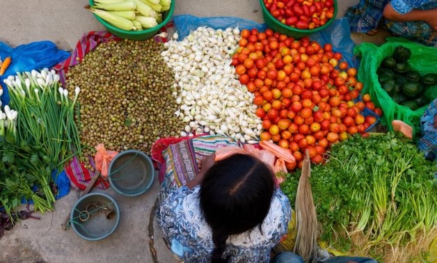 Egypt reassures citizens: Strategic reserves of all basic commodities sufficient for 6 months