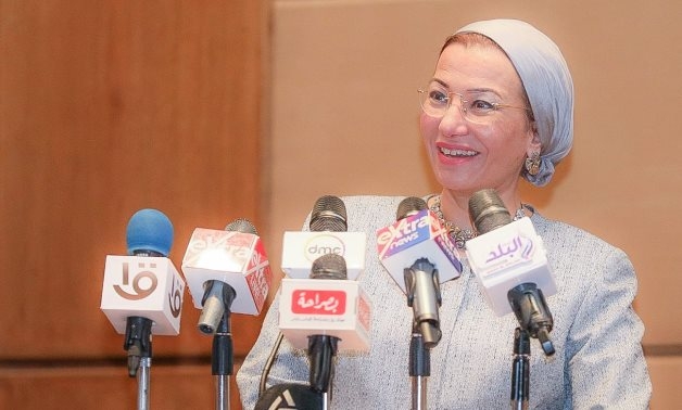 Environment min. to MENA: We work to add other Egyptian cities to ICLEI network