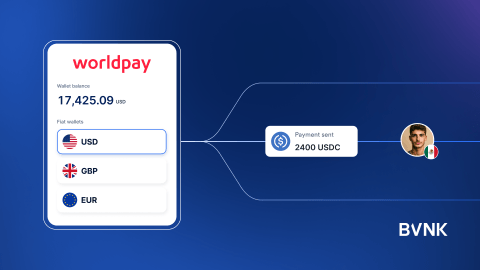 Worldpay partners BVNK for stablecoin payouts