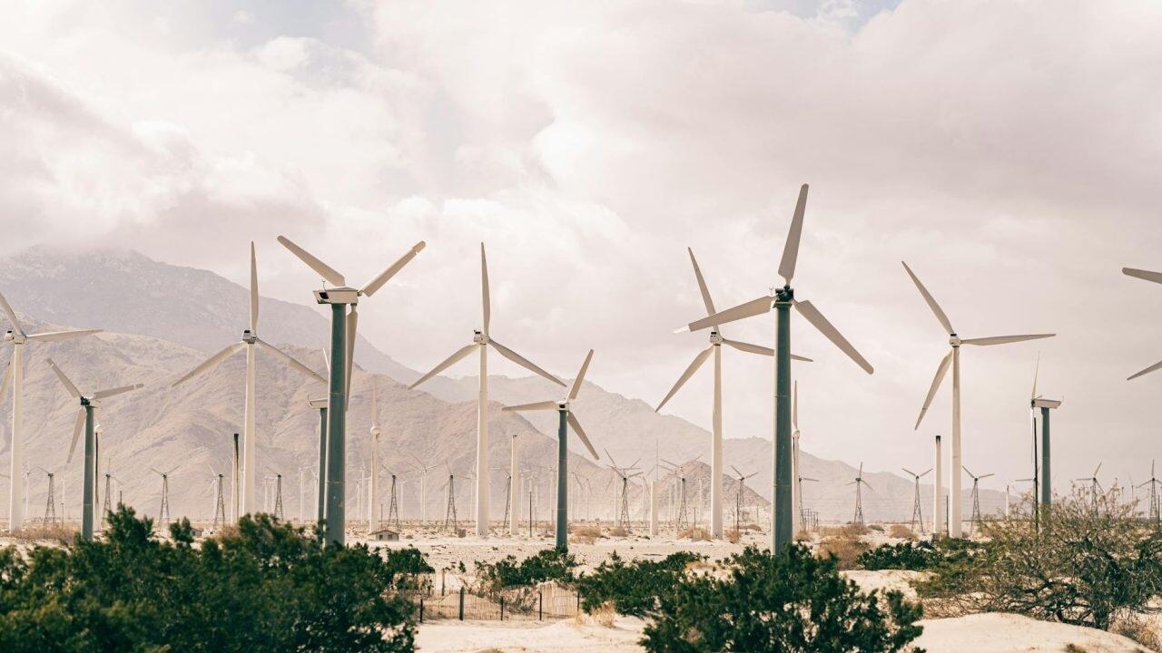 Trump: No More "Bullshit" Windmills