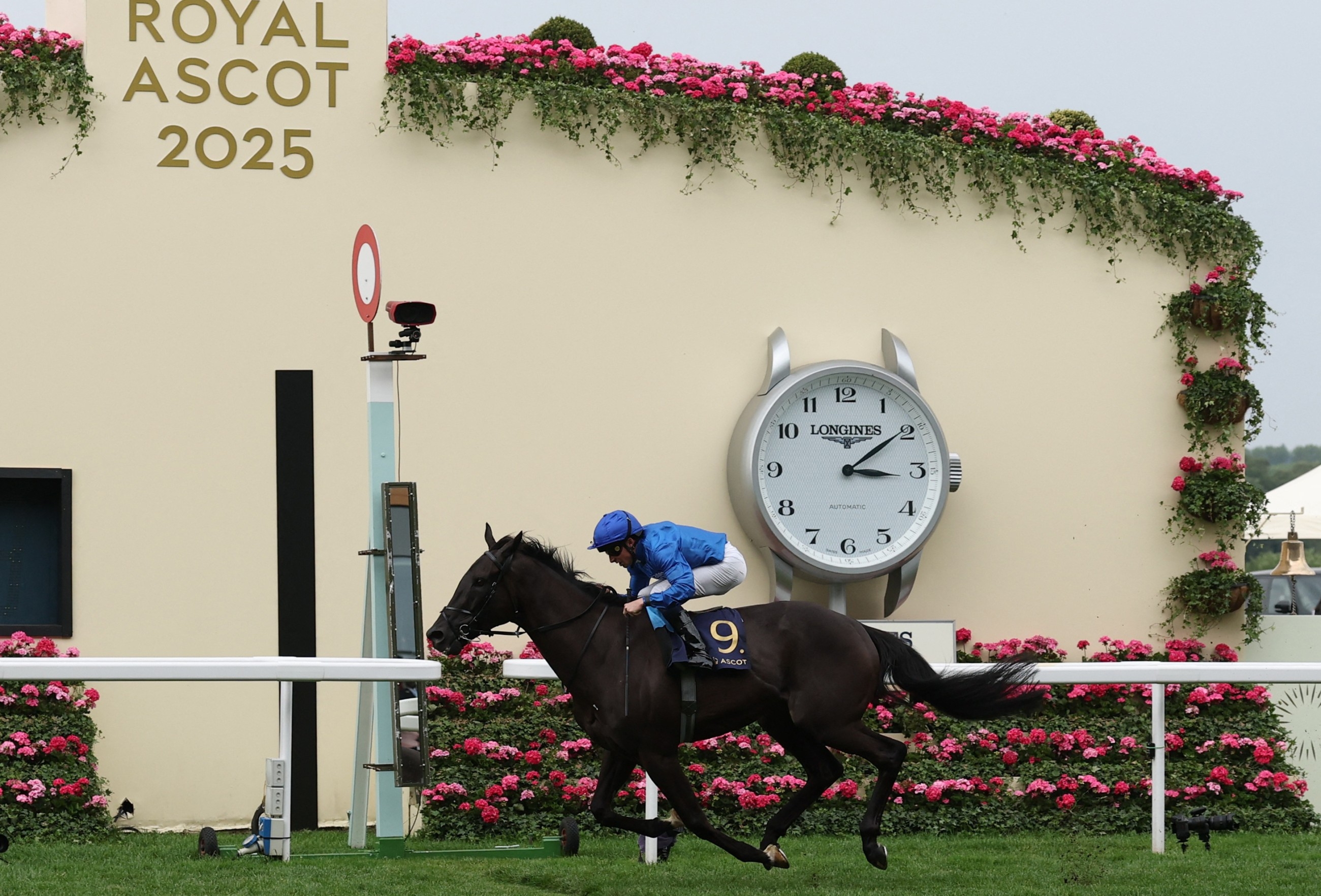 Rebel's Romance continues courtship with Royal Ascot