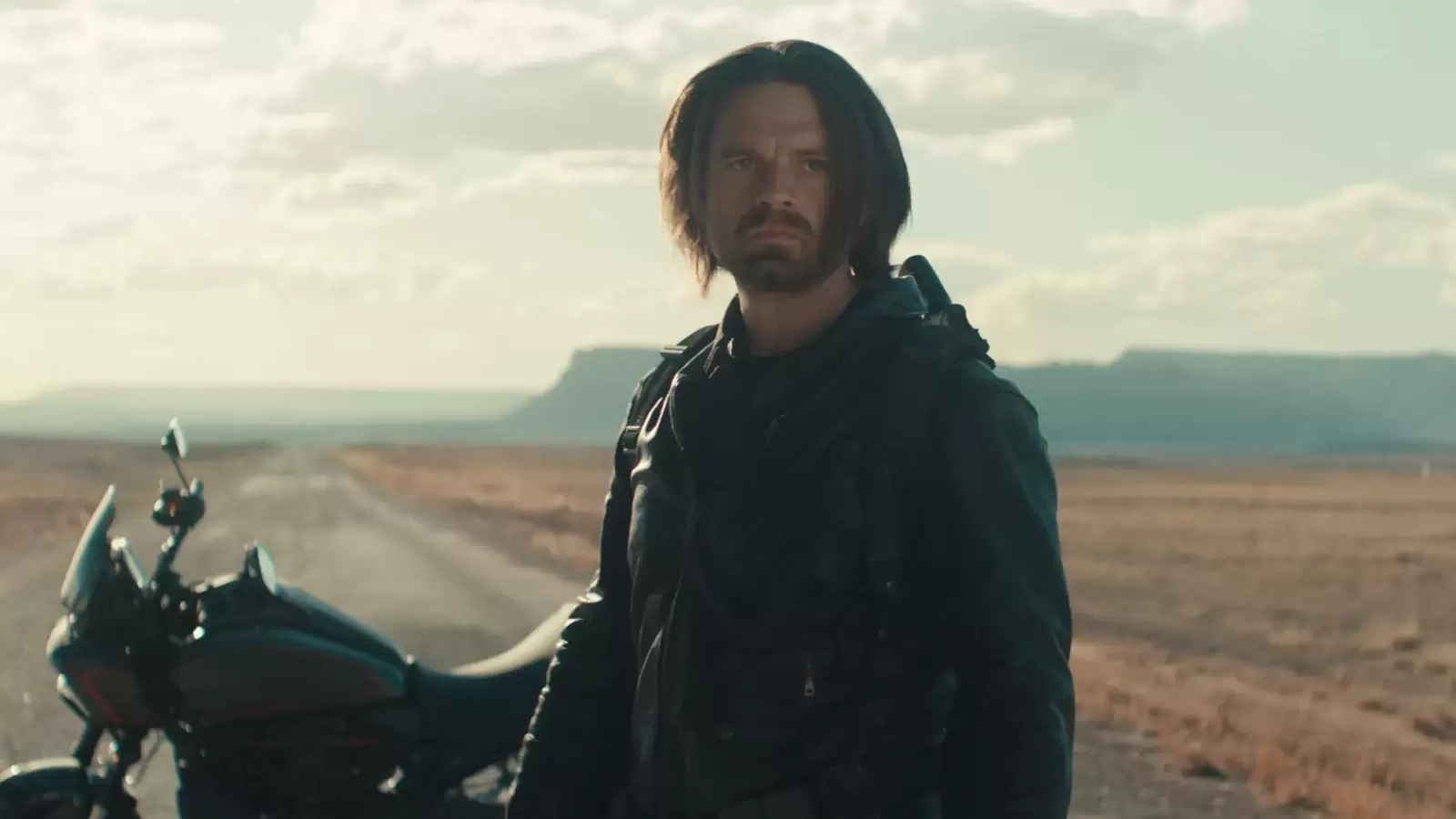 Winter Soldier aKa Sebastian Stan reveals surviving on residuals from Hot Tub Time Machine before landing role in MCU