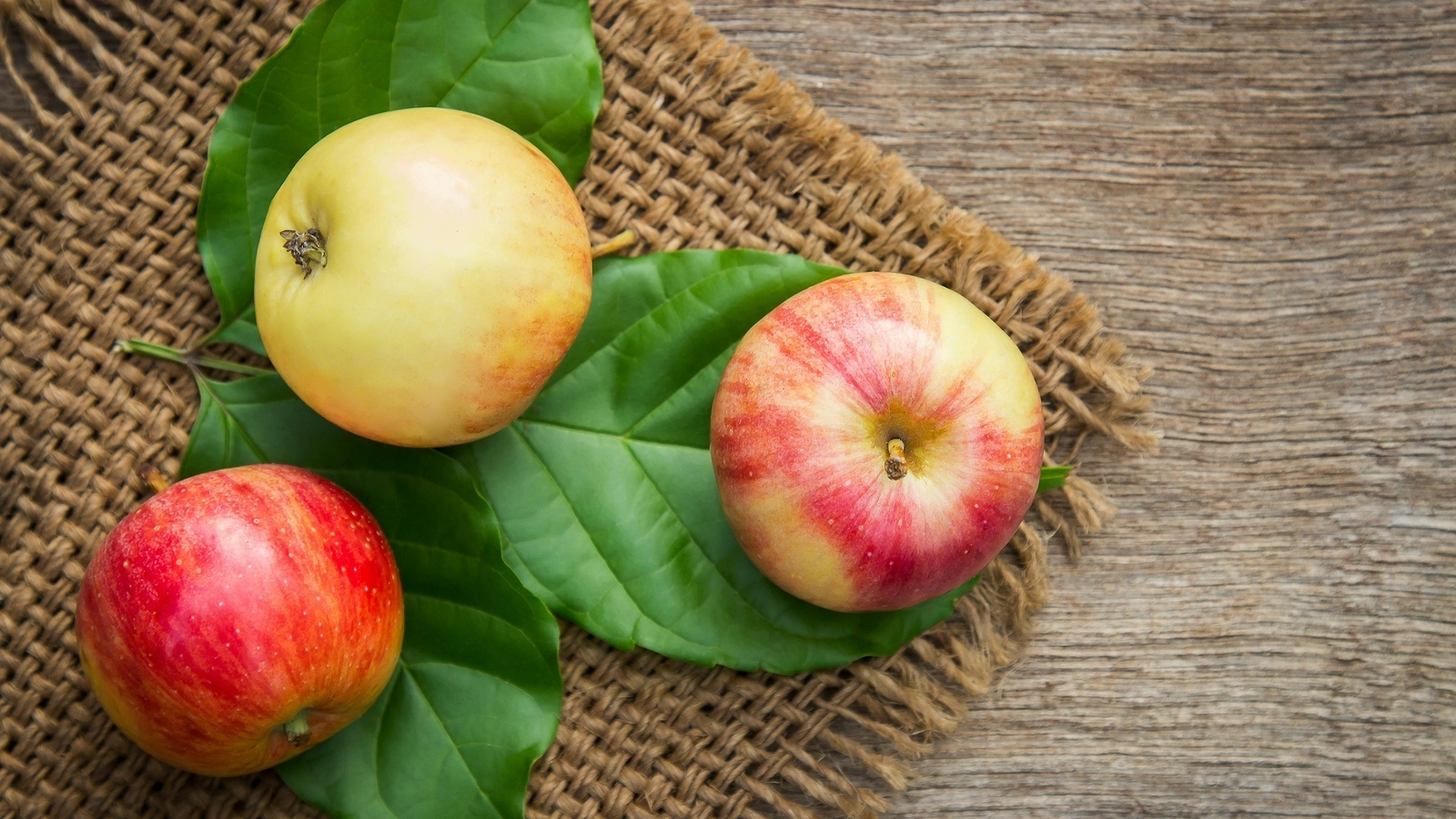 Tea, berries, dark chocolate, apples can lead to longer life span: Study says