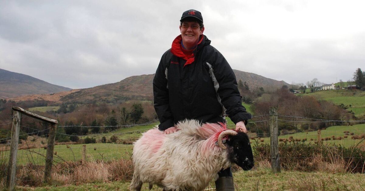 Tributes to Kerry farmer and All-Ireland sheep shearing champion who died in farm fatality