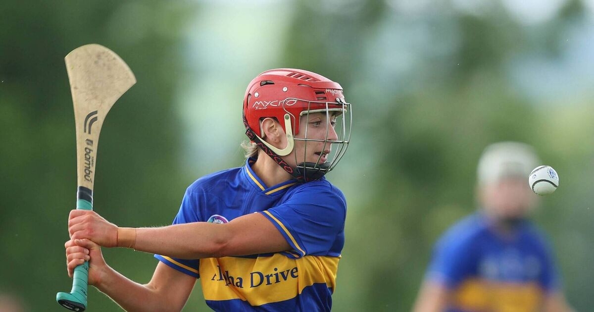 Blair project pays dividends for Tipp