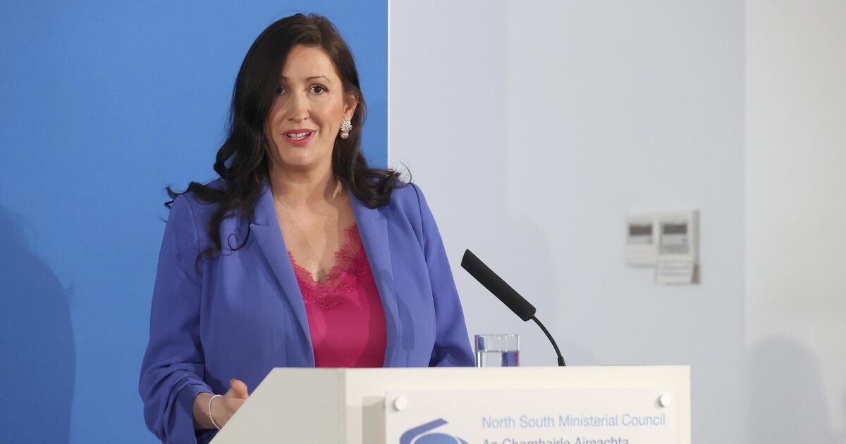 Emma Little-Pengelly accuses Leo Varadkar of reinventing himself after Irish unity comments